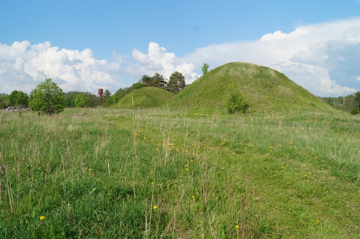Курганы Новгородской области Фото из открытого доступа