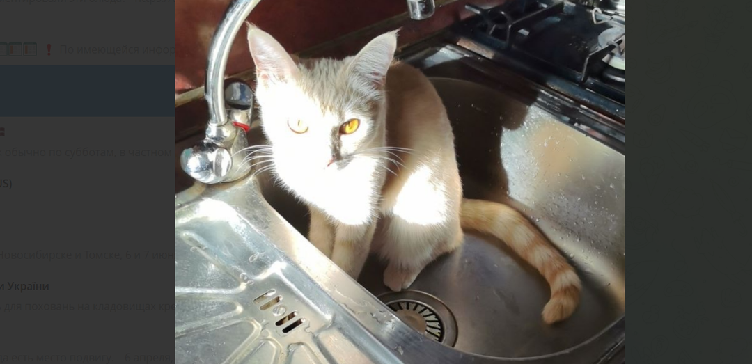 Суббота как суббота