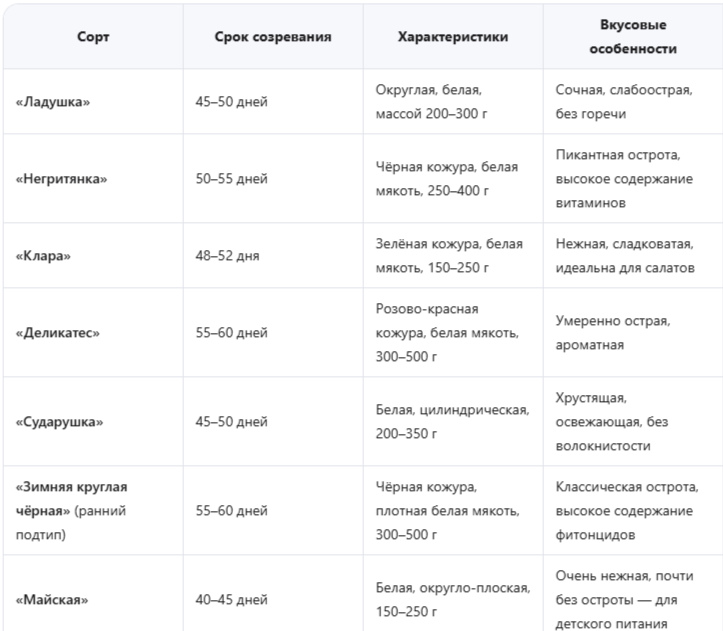 Топ-7 сортов редьки для апрельского посева