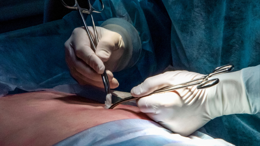    Фото: © РИА Новости/Дмитрий Макеев; 5-tv.ru