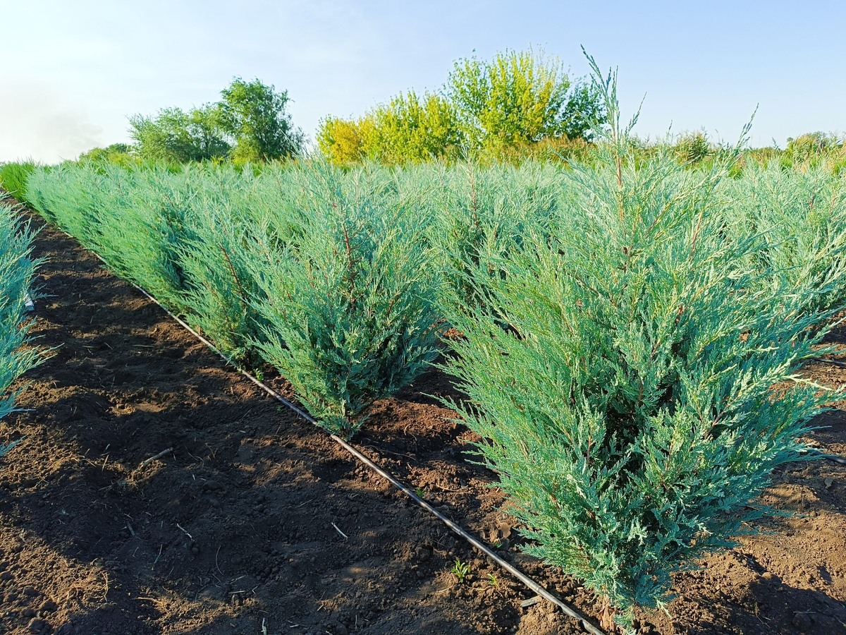 Листайте галерею