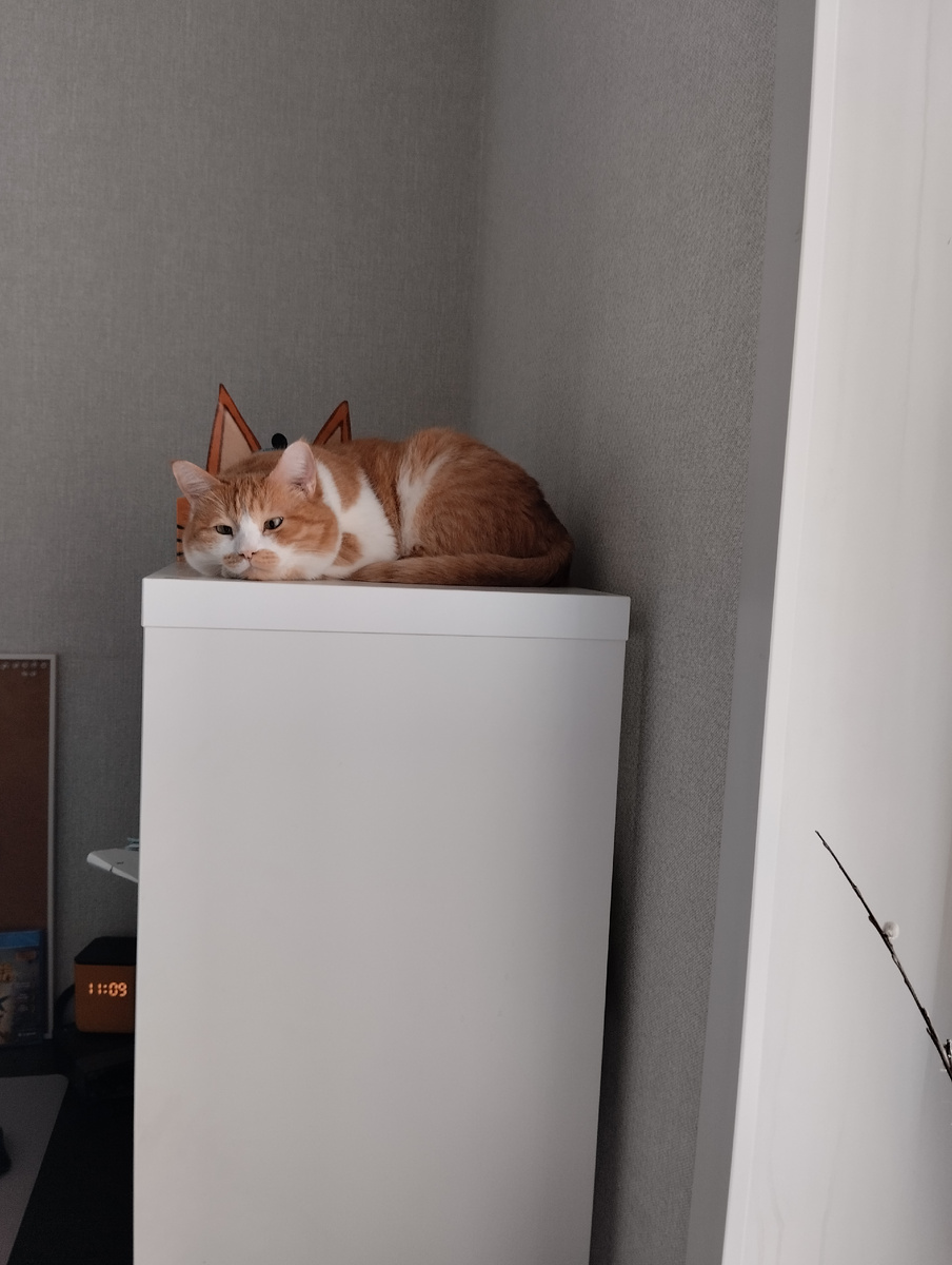 Соня и Коржик🧡