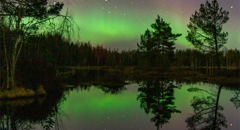 Последние сполохи этой весны