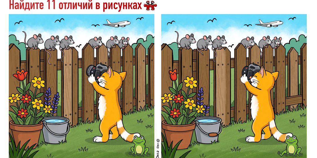 Тест выходного дня. 11 отличий на прогулке с рыжим котиком