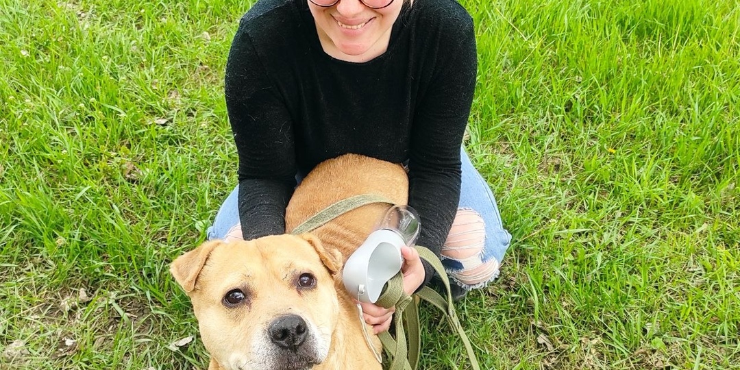 Будни приюта...Кто то кайфует гуляет...Кто то красоту наводит😘За помощь спс бывшим работникам приюта,сегодня Настя и Аня приехали нам