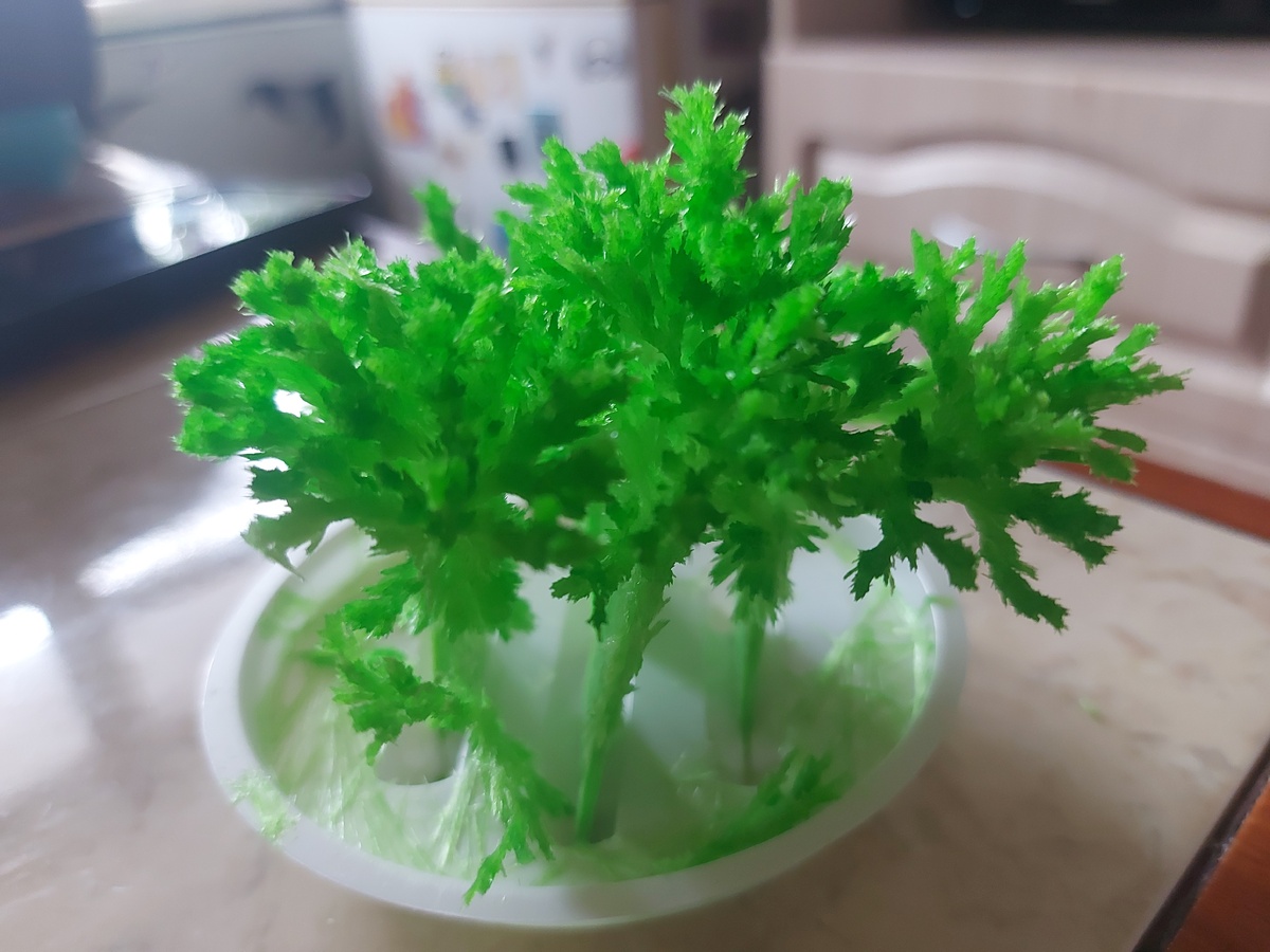 Вырастили дома такой кристалл на днях, он не в тему статьи, это я просто решила поделиться ))