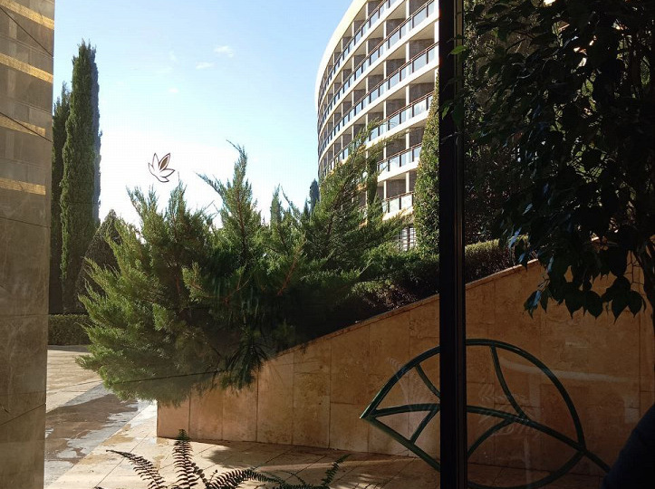 Ожидали 5 звезд, получили хаос и равнодушие: отзыв туриста о Крыме