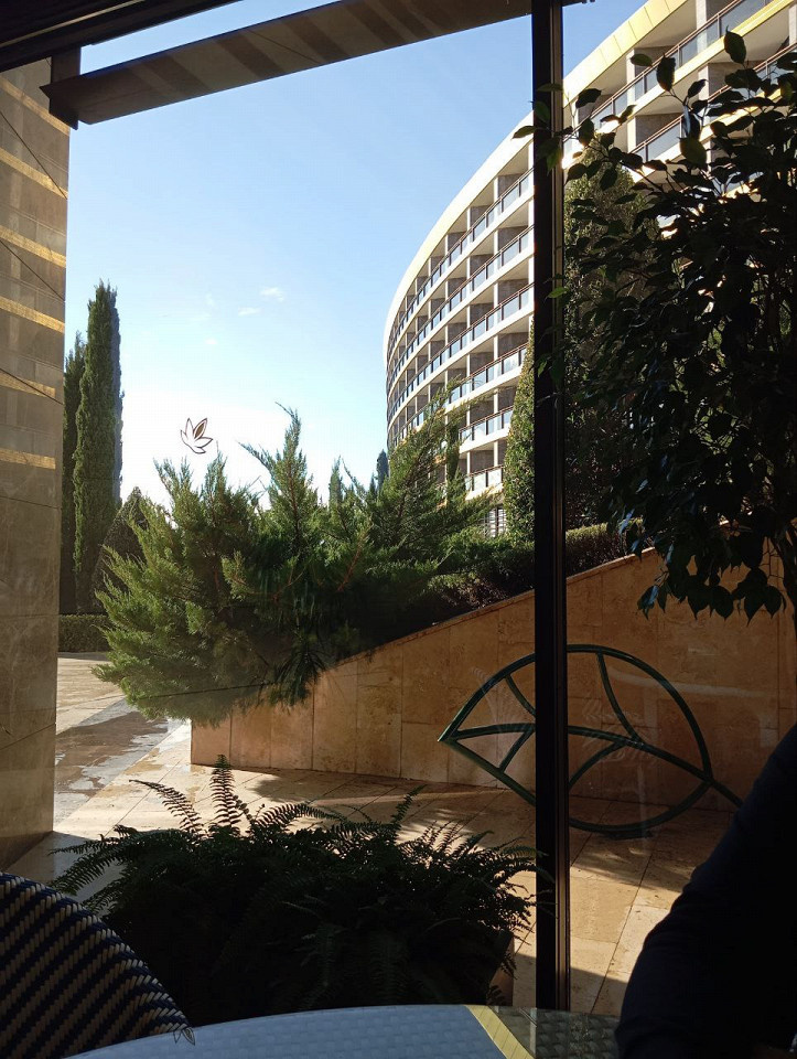 Автор отзыва, Лейля
