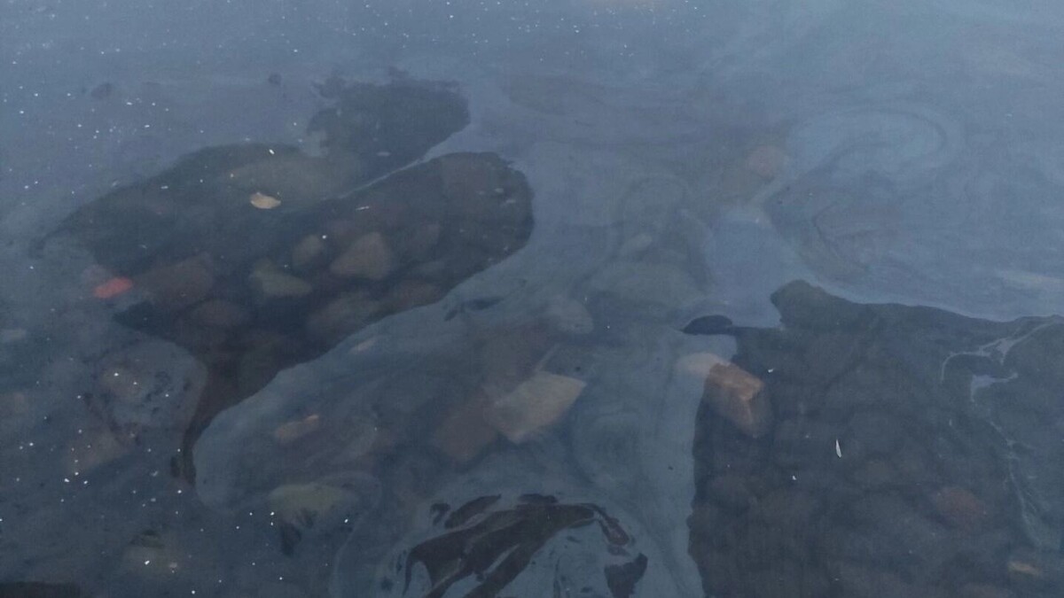   vk.com/wall-59517317_353146