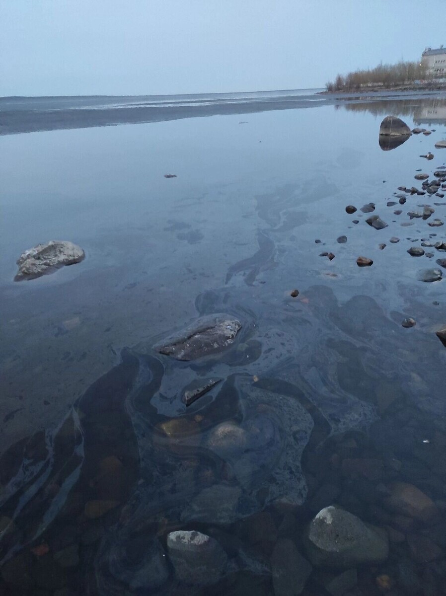   vk.com/wall-59517317_353146