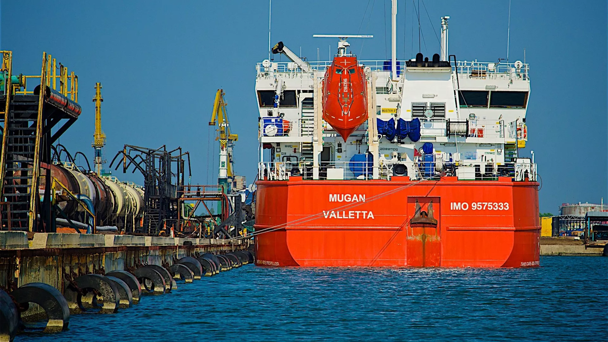 © photo: Sputnik / Stringer