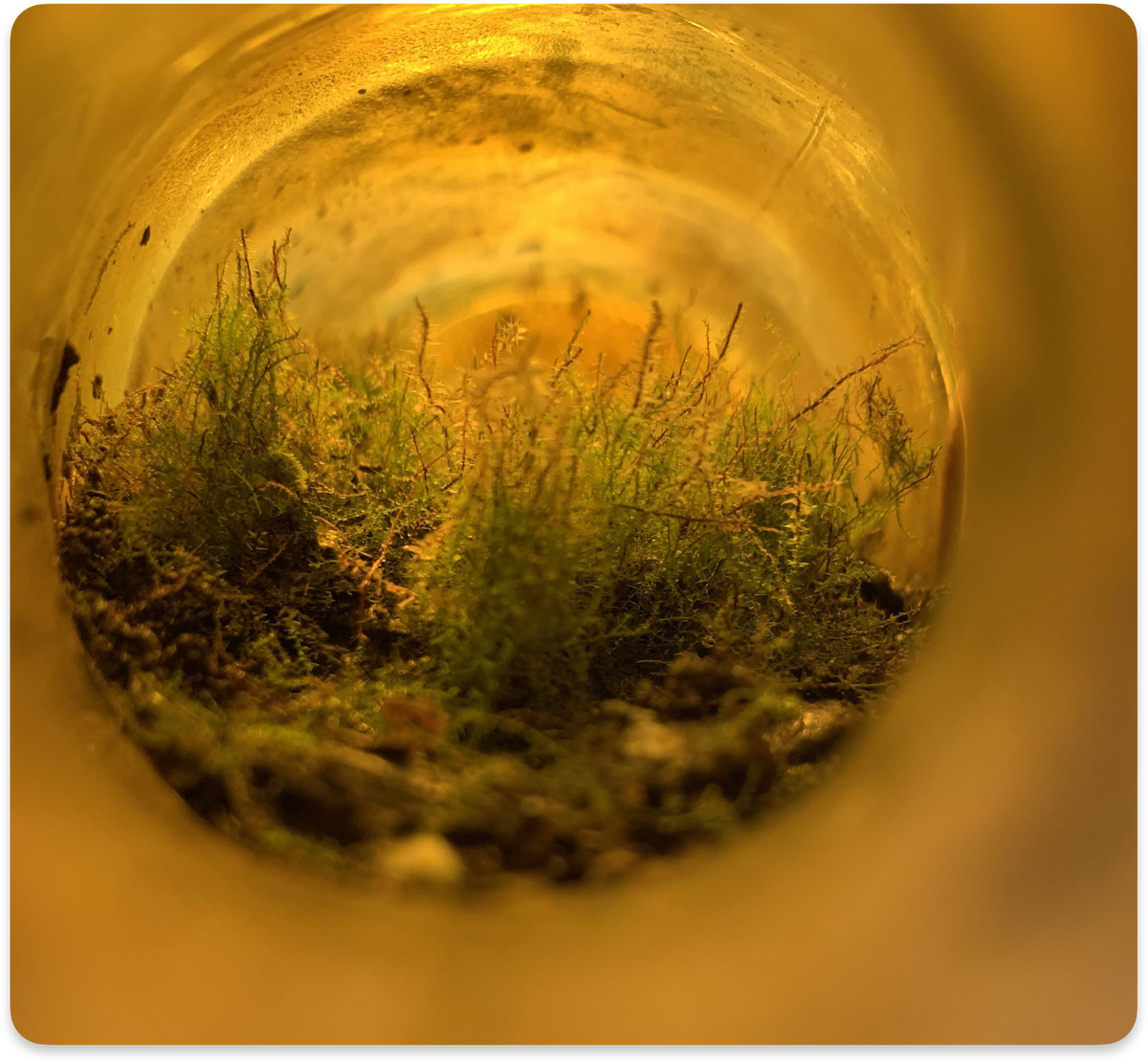 Источник: Concheck_ / https://bit.ly/48JtAmz 