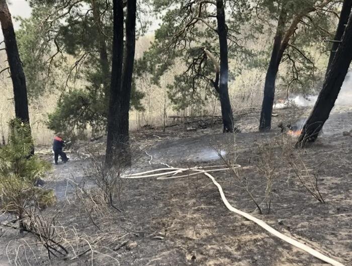    ФОТО: Минприроды Самарской области