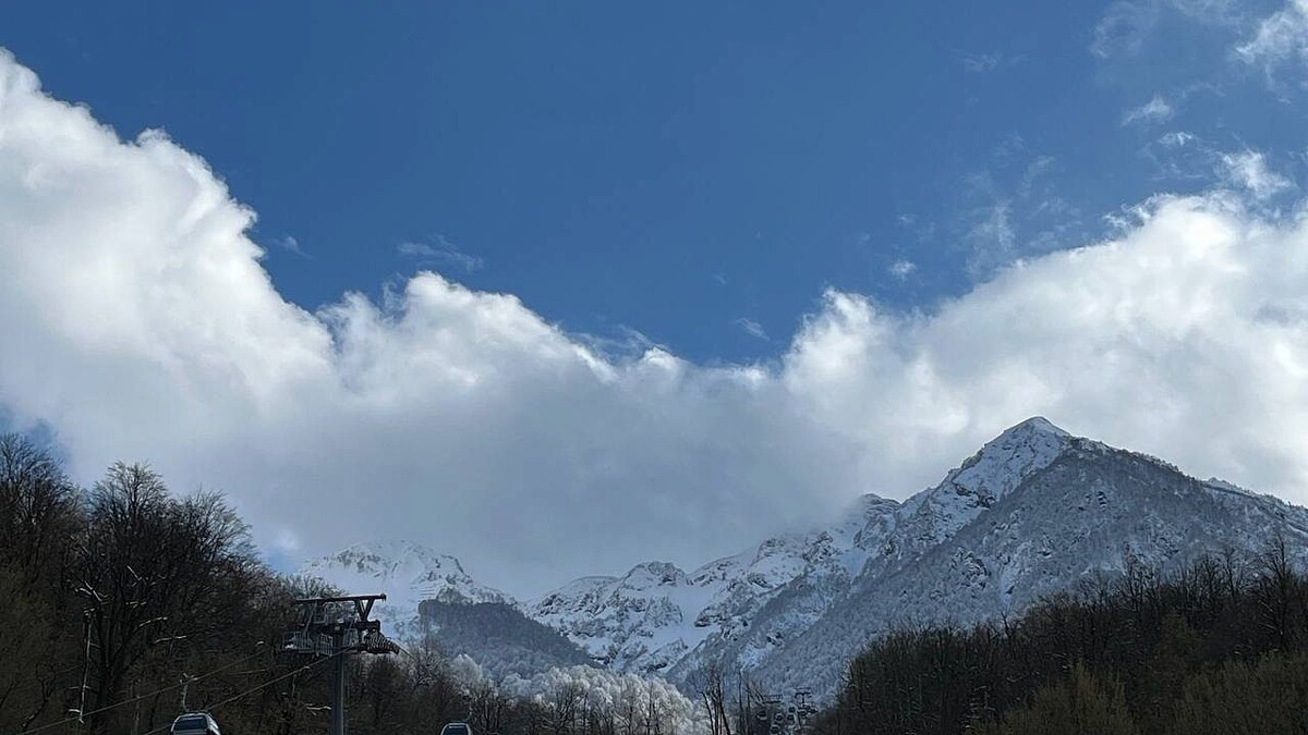    Фото: телеканал «Краснодар»