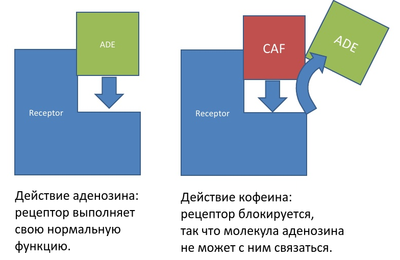 Изображение Яндекс Картинки