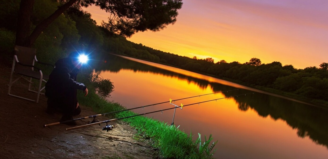 Правда о свете фонаря на рыбалке: научные факты против народных заблуждений