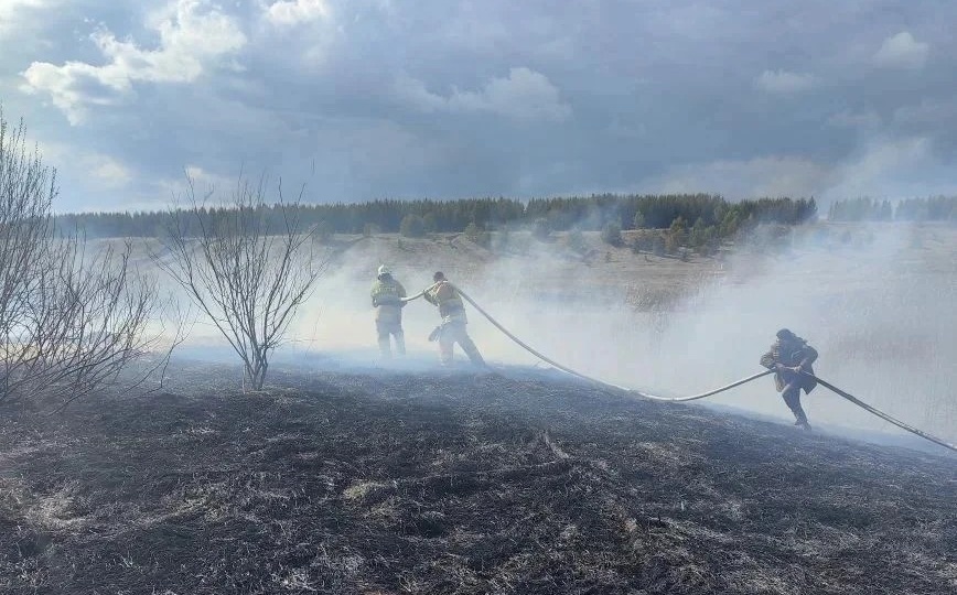 Шесть ландшафтных пожаров уже произошло в Удмуртии