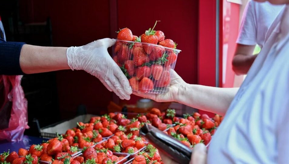 Как россиян кормят китайской клубникой под видом российской
