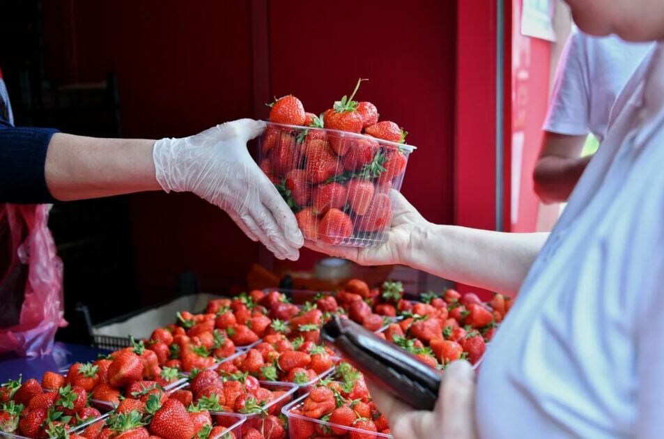 Иллюстрация из открытых источников