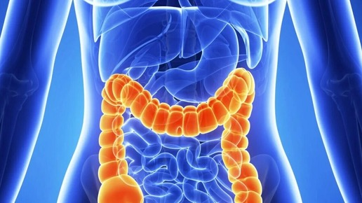 Фото Яндекс Картинки