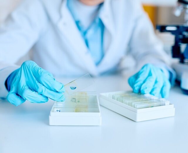 Петербургские ученые научились прогнозировать космическую погоду