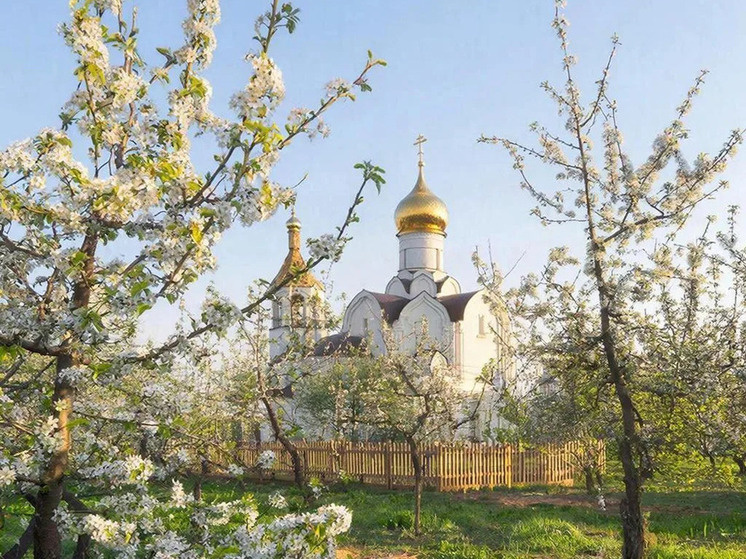     Фото: сгенерировано ИИ.