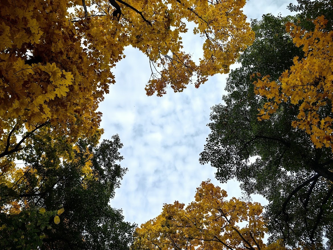 Красивое время