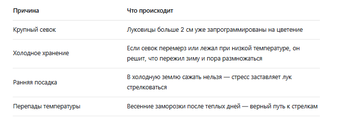 Почему лук идет в стрелку