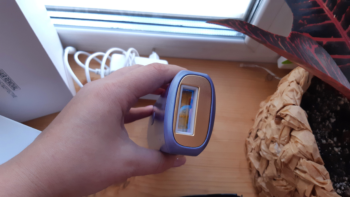 Манипула