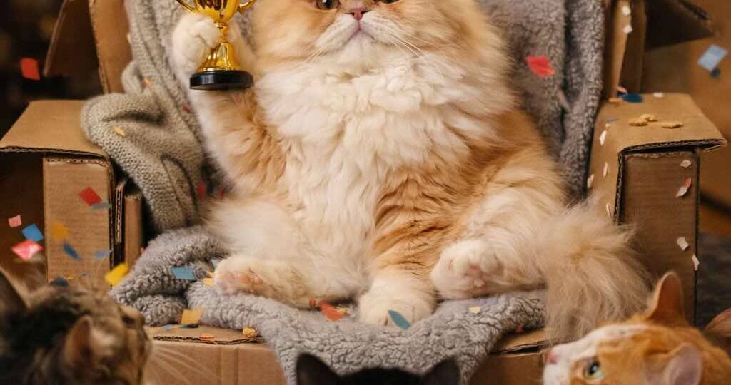 Вы боитесь испортить персидской кошке шерсть домашней стрижкой "под льва"?