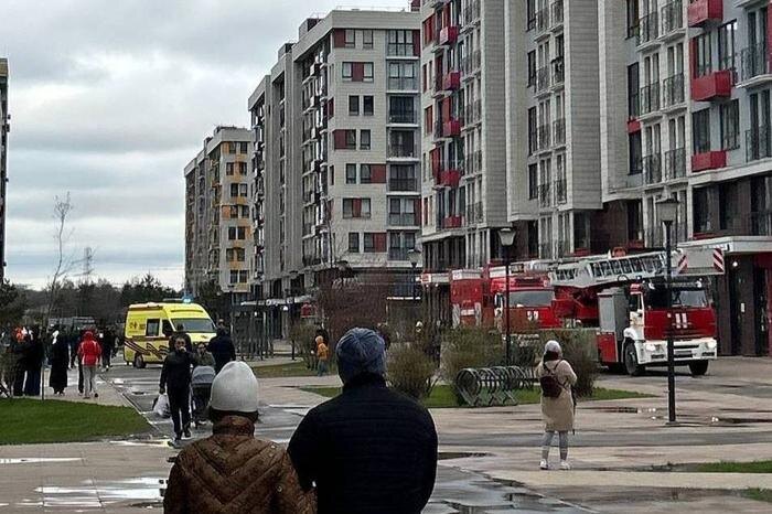 Обложка © Telegram / Baza