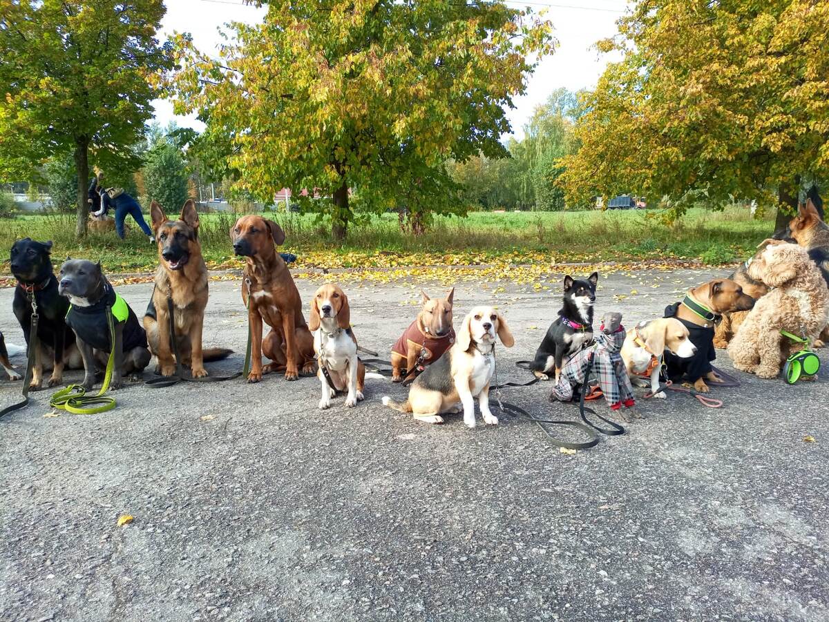 В центре моя Джесси