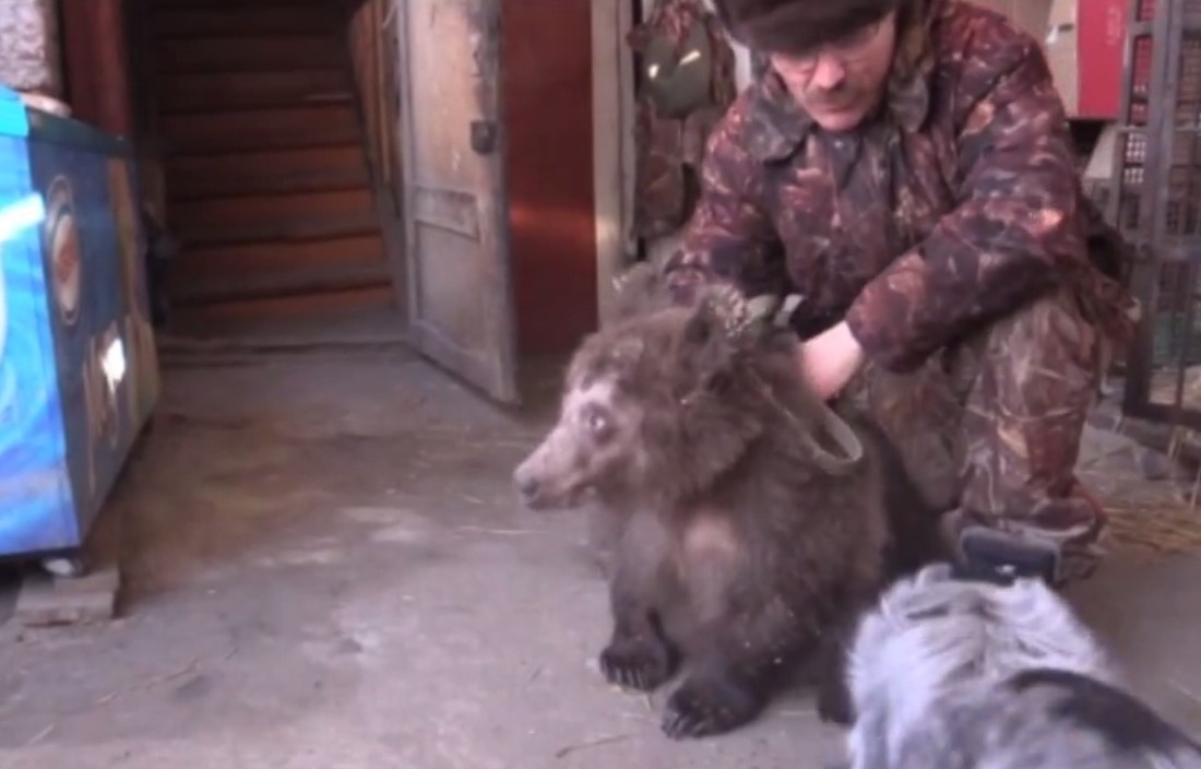 Александр Пермяков со Степаном в 2017 году. Фото предоставлено для публикации hornews.com