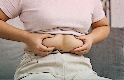 Внутренний Жир: Скрытая Опасность и Неочевидная Польза