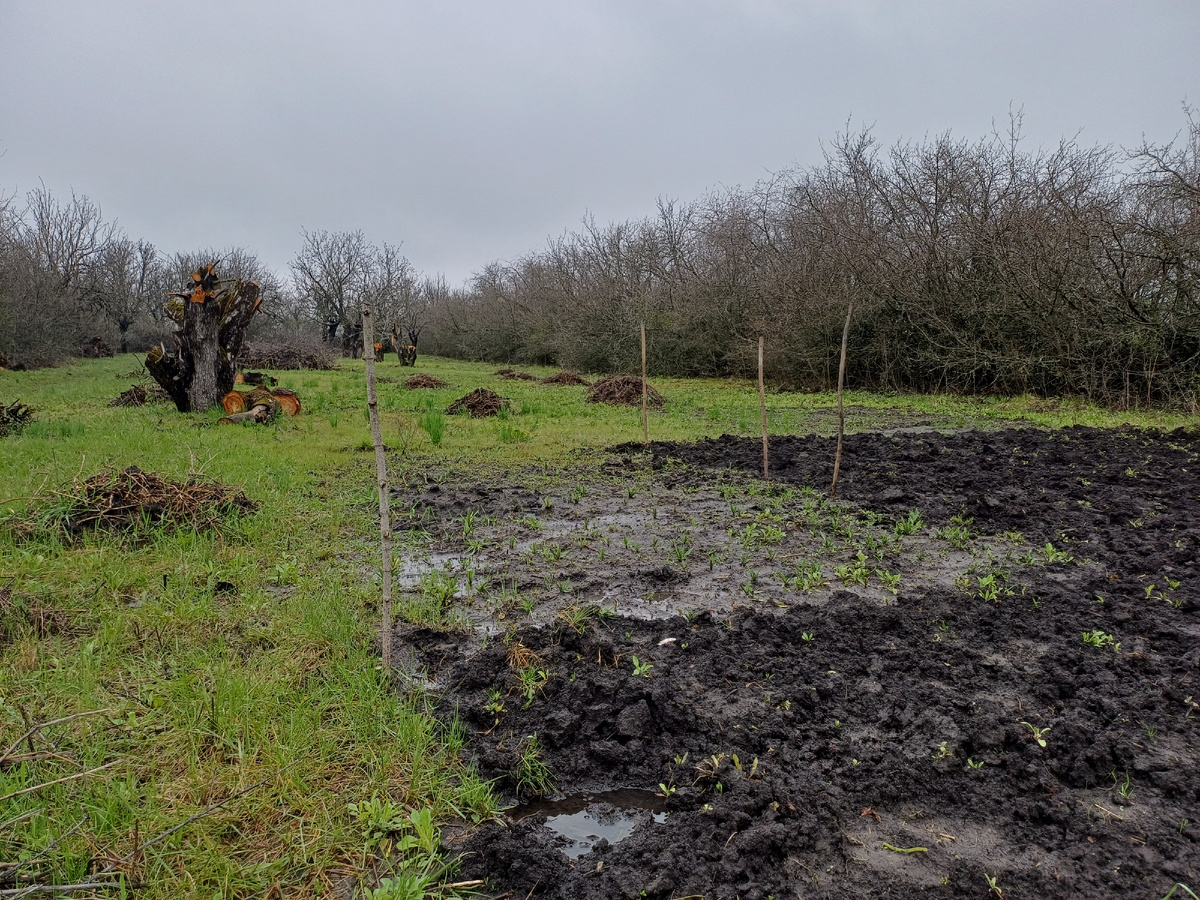 Вот это весна в этом году.