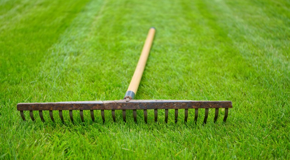 Что сделать с газоном в апреле, чтобы он был зеленым уже в мае