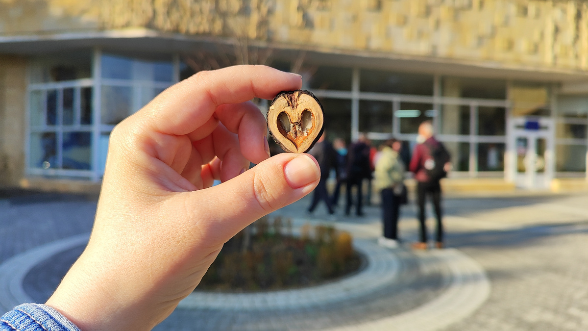 Из Пятигорска - с любовью! (апрель 2026 года)