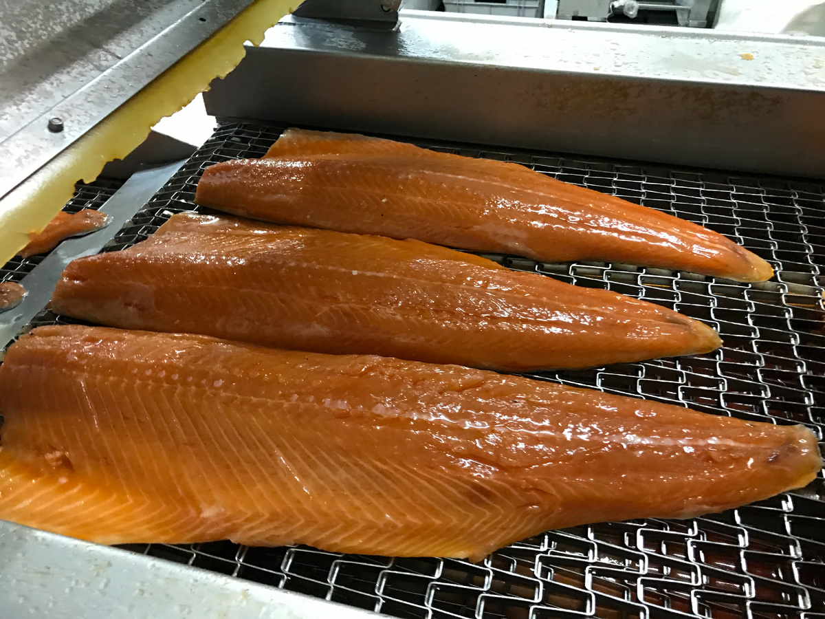 Фотография лосося после инъектирования на инъекторе с тонкими иглами.