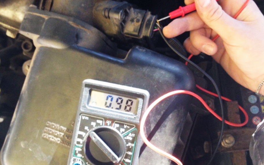 Фото: источник https://clck.su/CYmpk