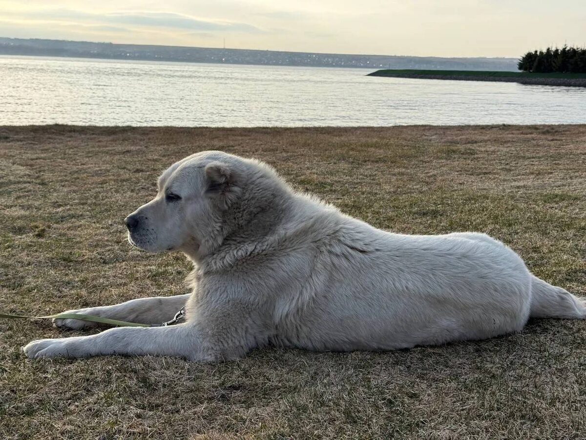 max.ru/rustamminnikhanov