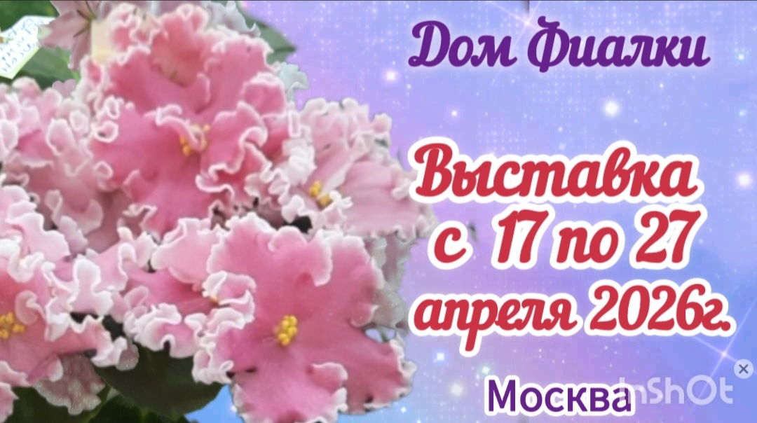 Обложка видео на Рутуб "Галина. My lifestyle"