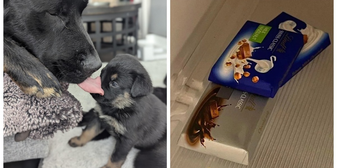 25 фото, на которых реальность шутит и даже немного издевается над нами