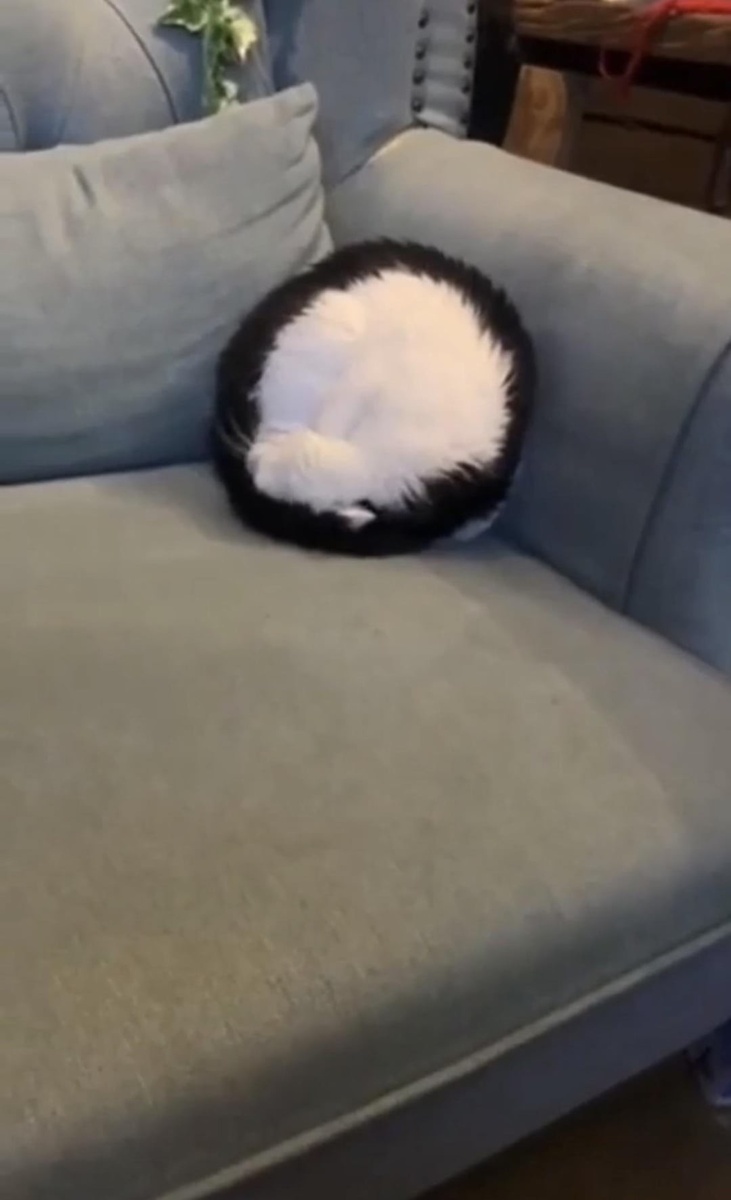 Источник: redd.it