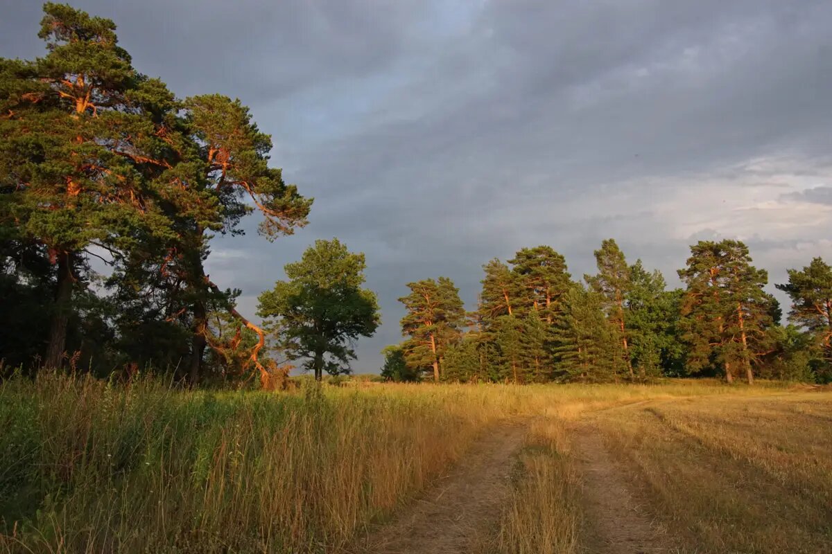 фото с сайта заповедника