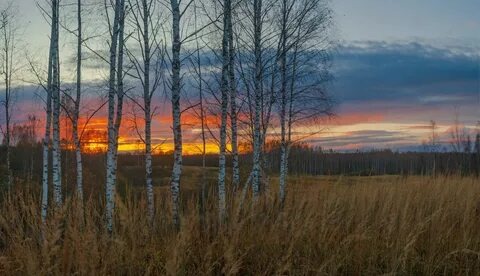 Пойди туда - не знаю куда... Глава 28