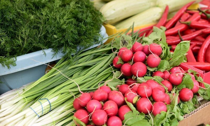    Фото пресс-службы адмнистрации Краснодара