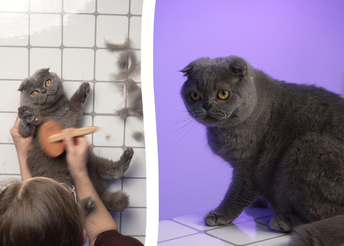 Всем гладких бочков!