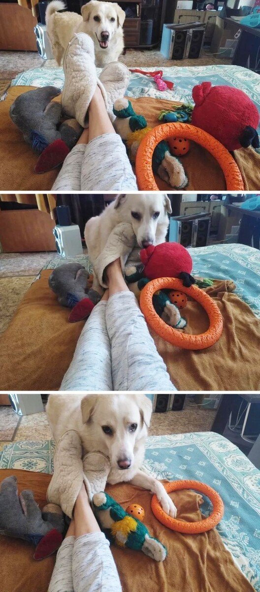 © Efedoseeva / Pikabu