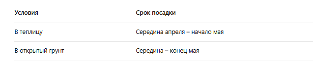 посадка огурцов в мешки