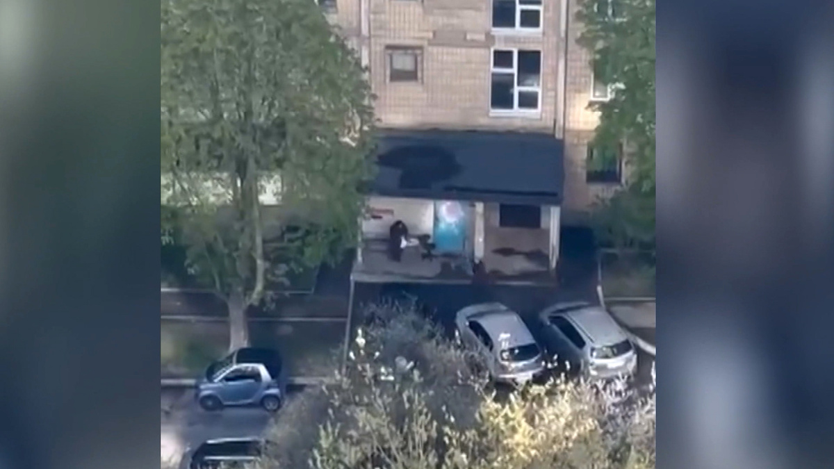    Кадр телеканала "Россия 24"